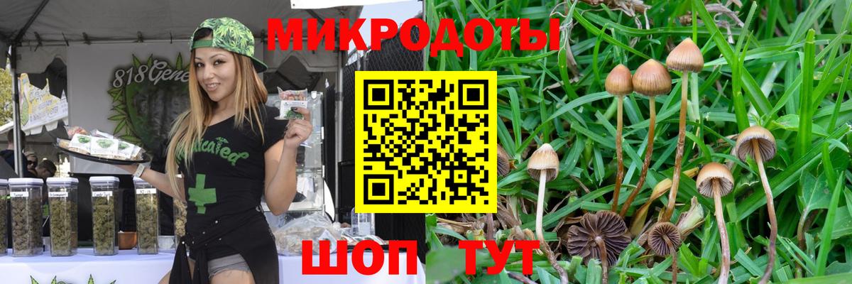 Галлюциногенные грибы MAGIC MUSHROOMS Торжок